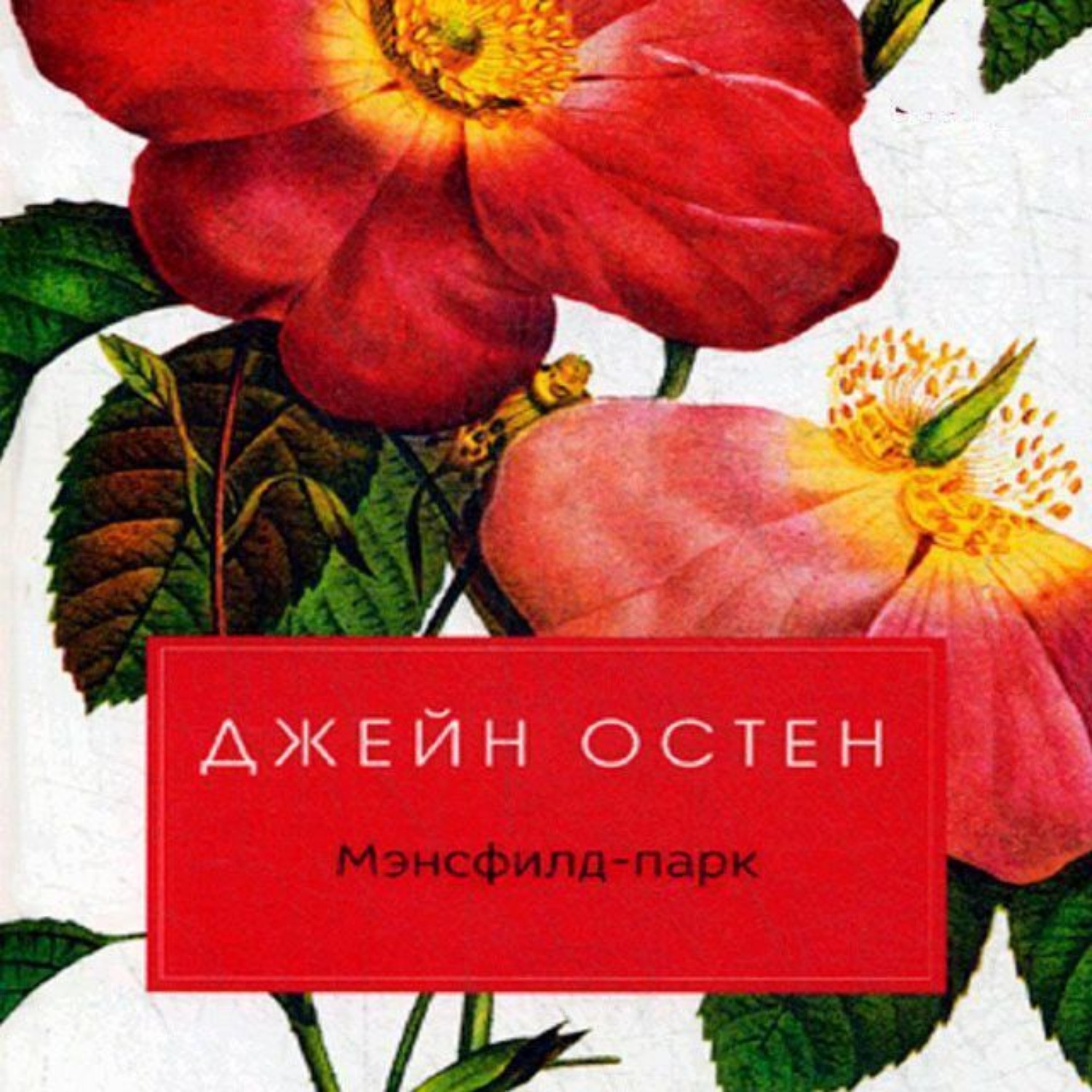 Обложка книги «Мэнсфилд-парк»