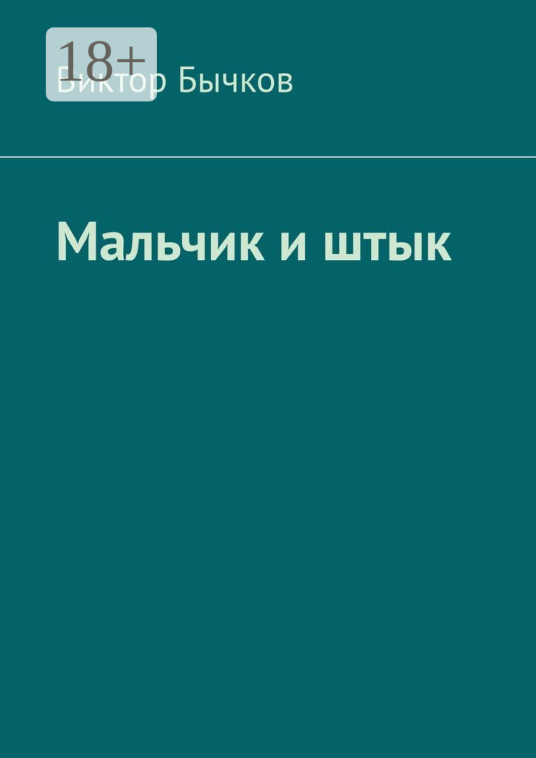 Обложка книги «Мальчик и штык»
