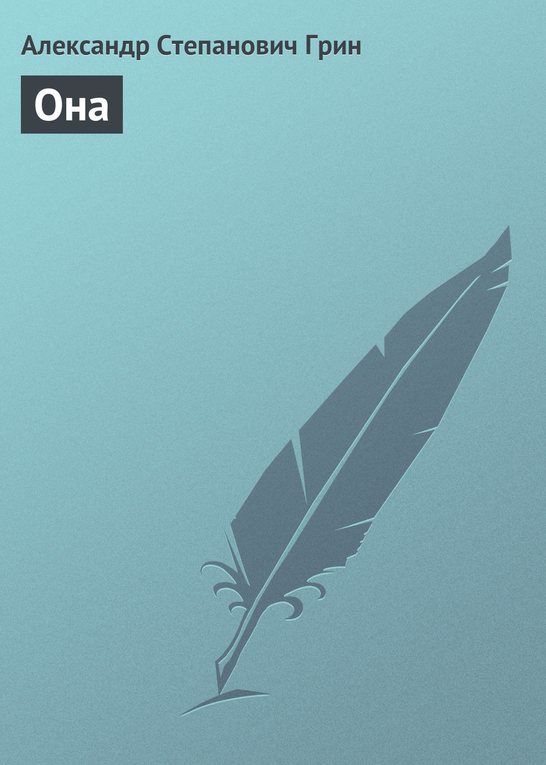 Обложка книги «Она»