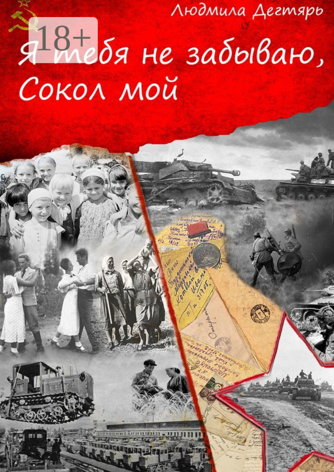 Обложка книги «Я тебя не забываю, Сокол мой»