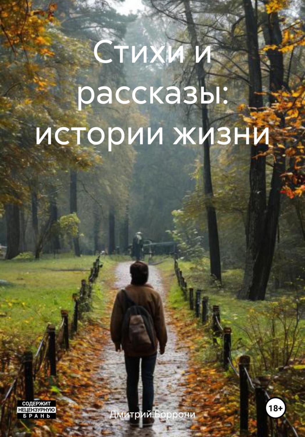 Обложка книги «Стихи и рассказы: истории жизни»