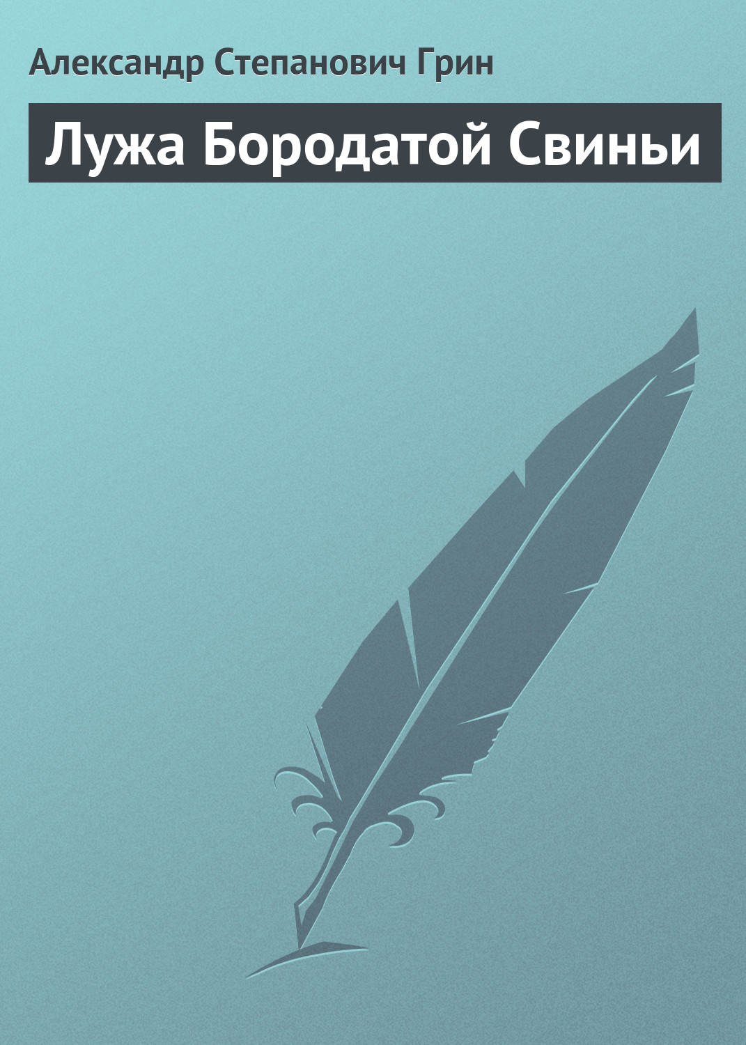 Обложка книги «Лужа Бородатой Свиньи»