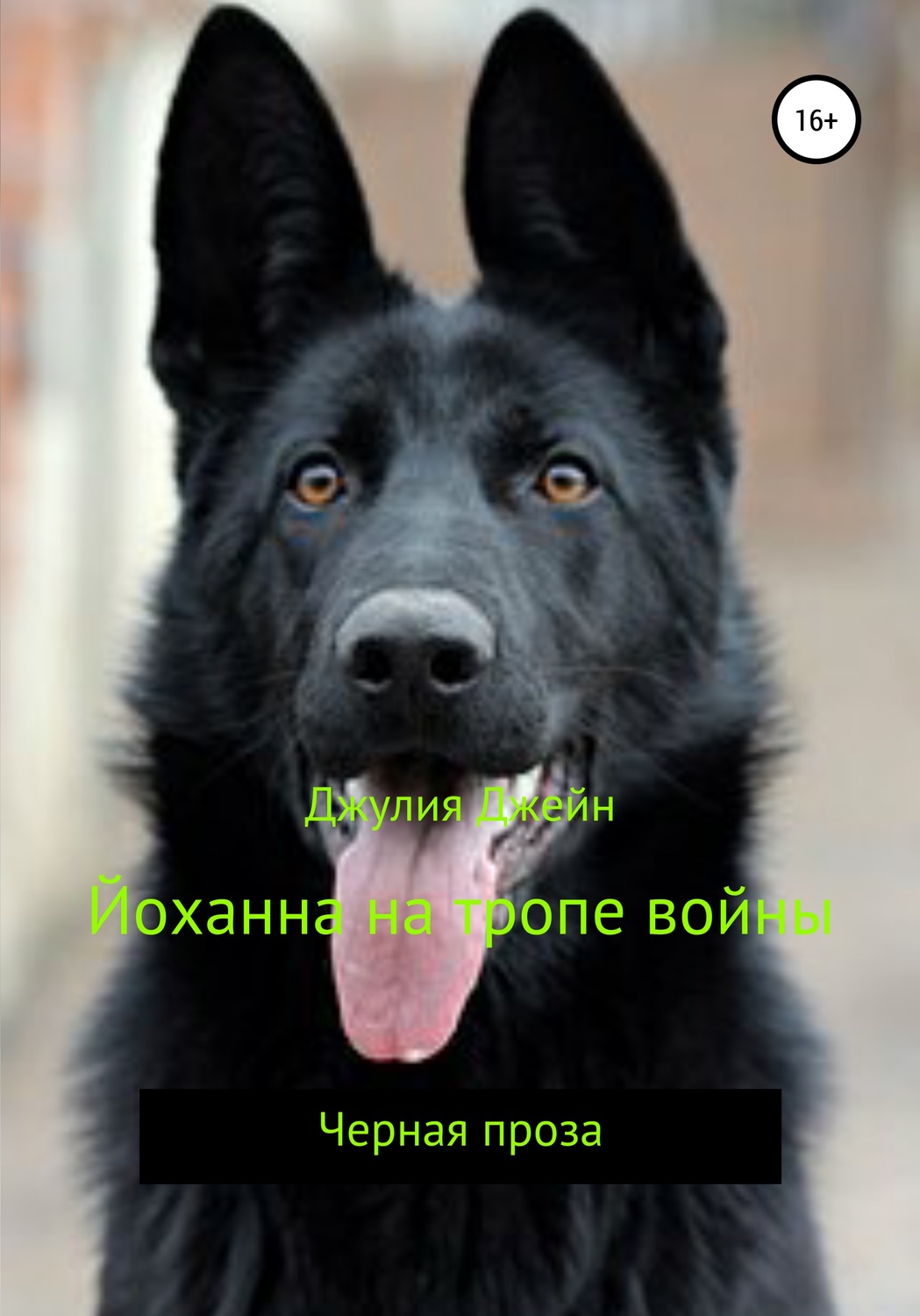 Обложка книги «Йоханна на тропе войны»