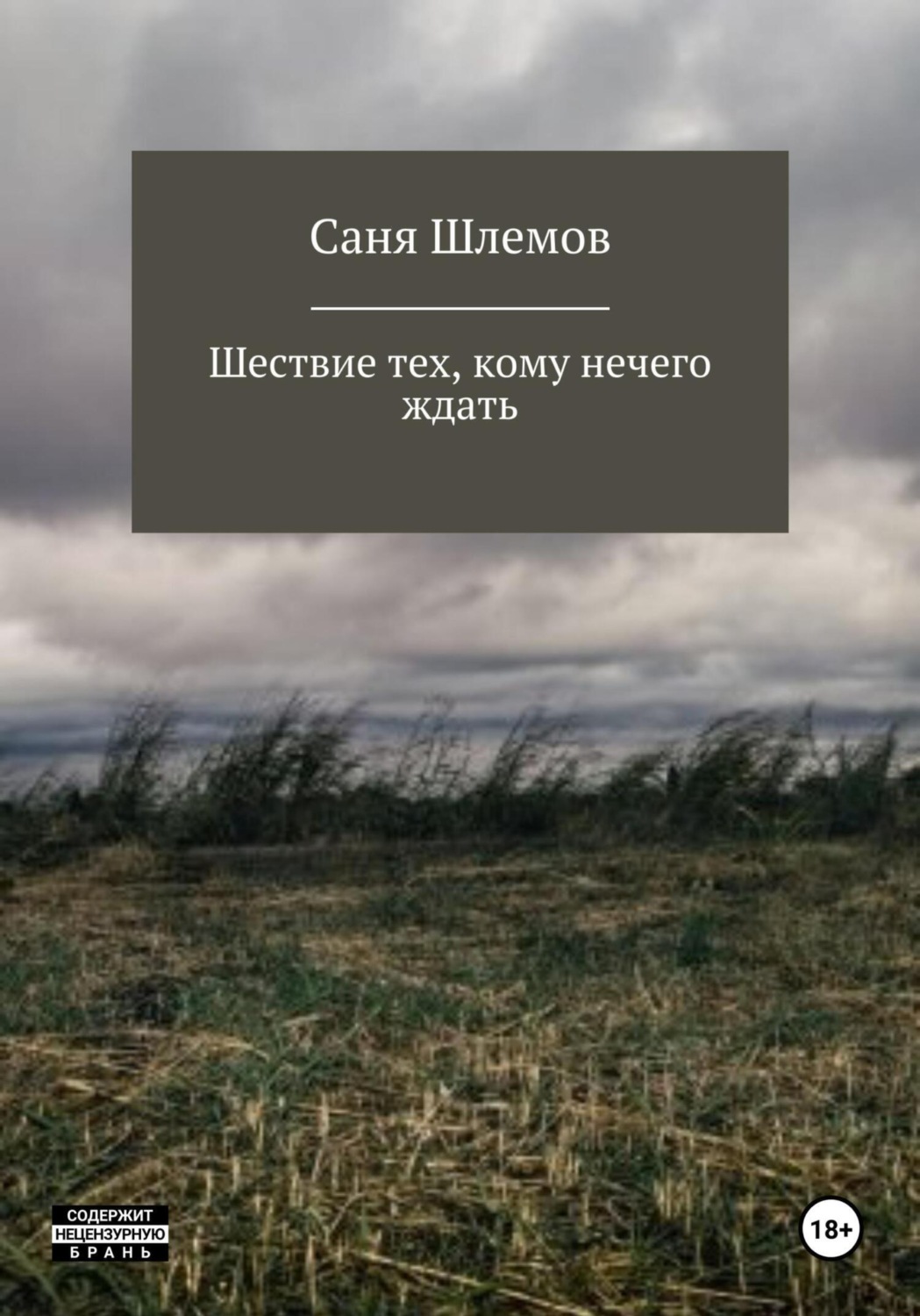 Обложка книги «Шествие тех, кому нечего ждать…»