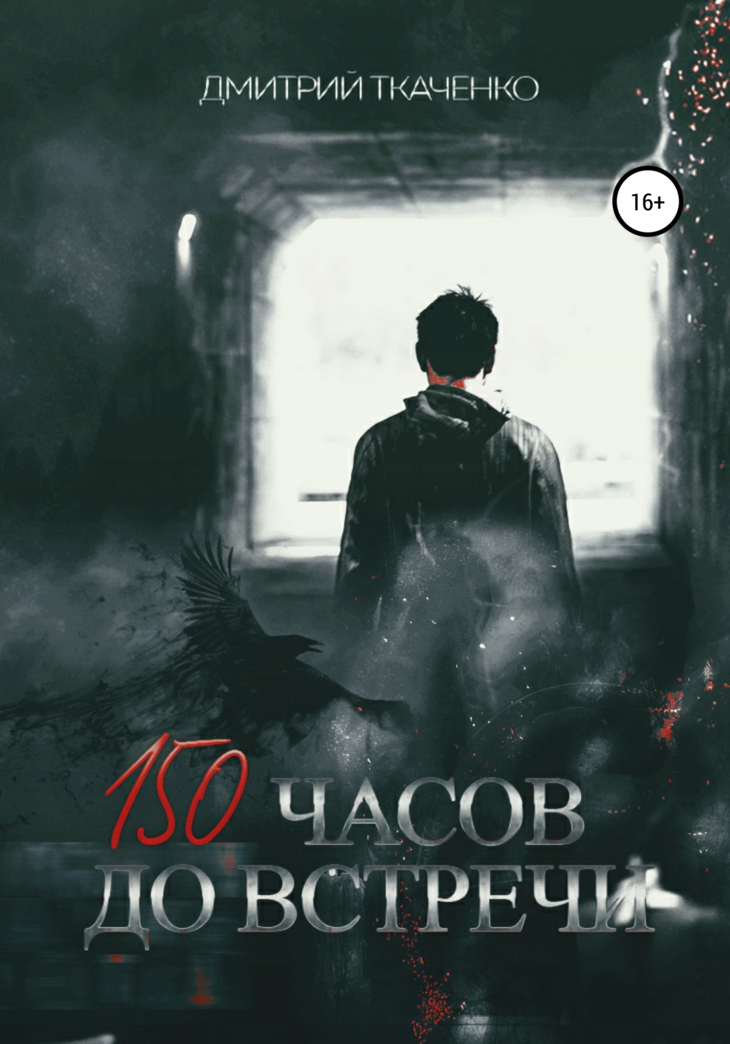Обложка книги «150 часов до встречи»