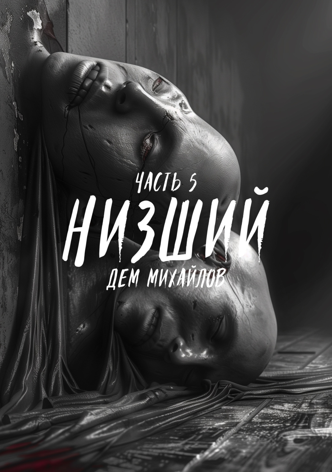 Обложка книги «Низший 5»