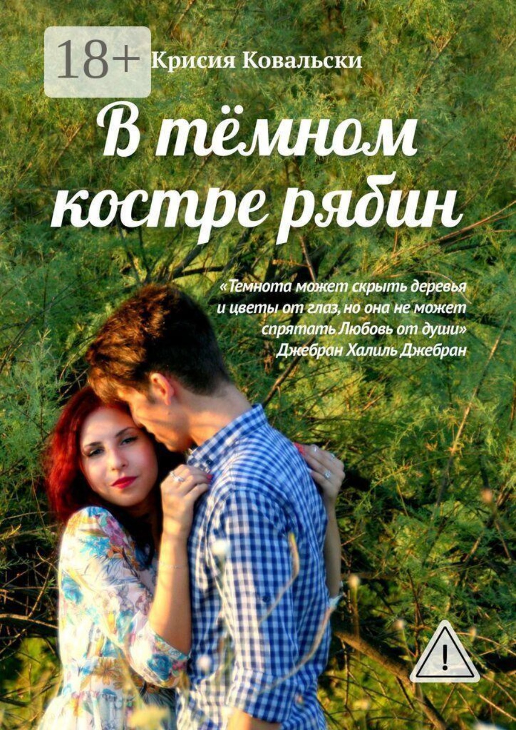 Обложка книги «В тёмном костре рябин»