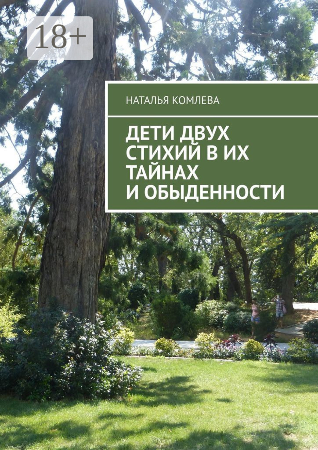 Обложка книги «Дети двух стихий в их тайнах и обыденности»