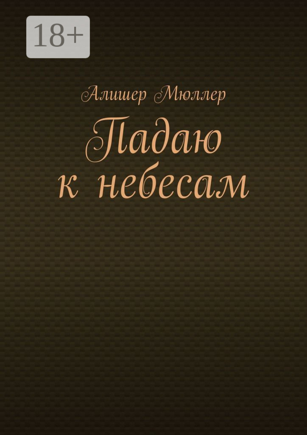 Обложка книги «Падаю к небесам»