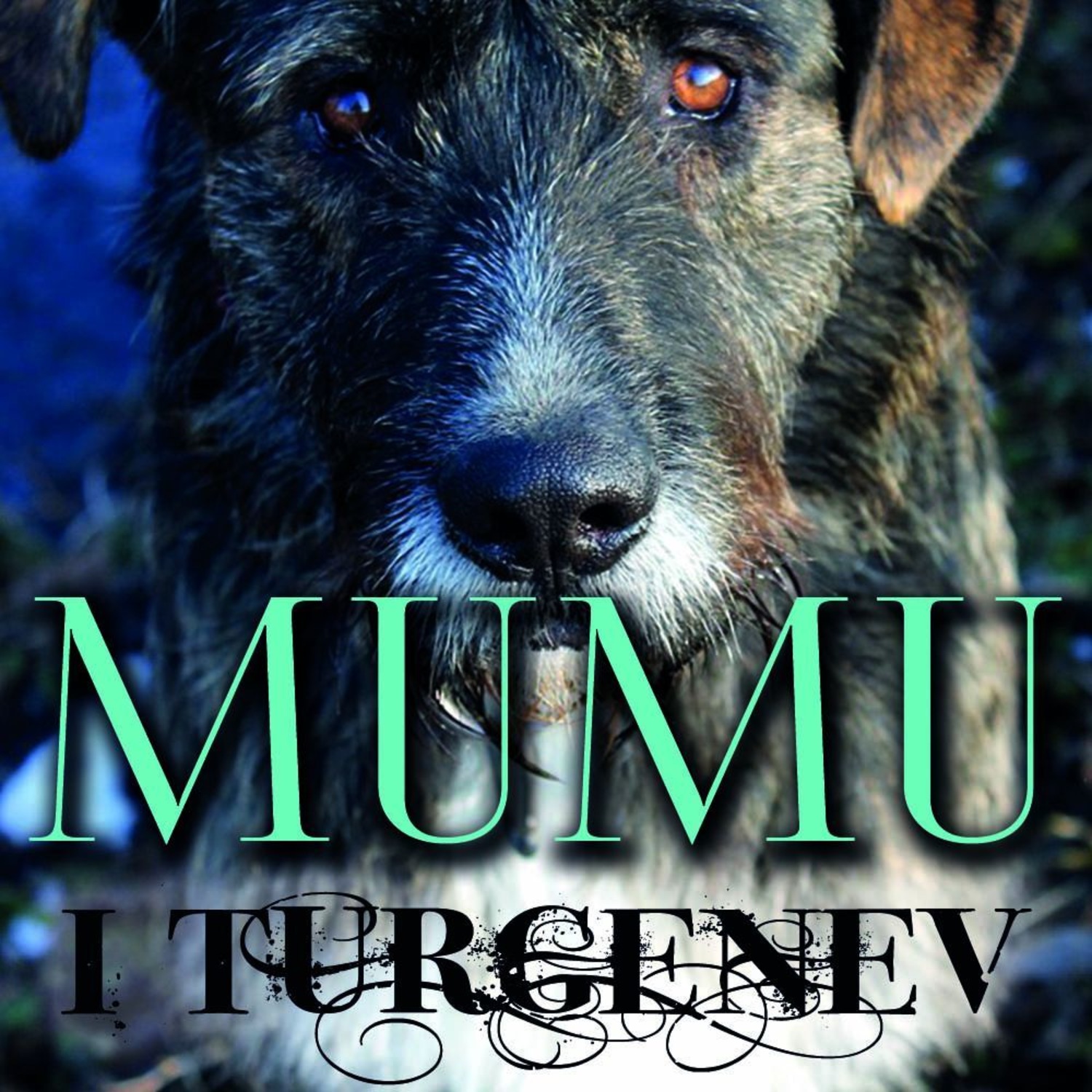 Обложка книги «Mumu»