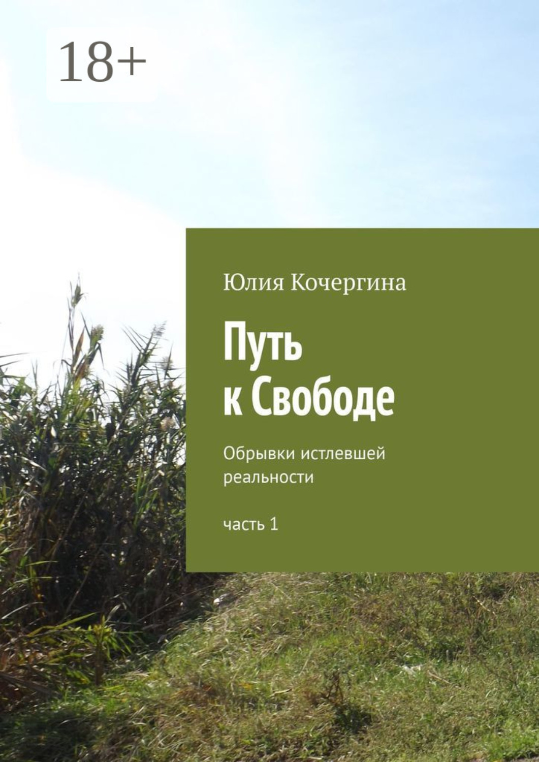 Обложка книги «Путь к Свободе. Обрывки истлевшей реальности. Часть 1»