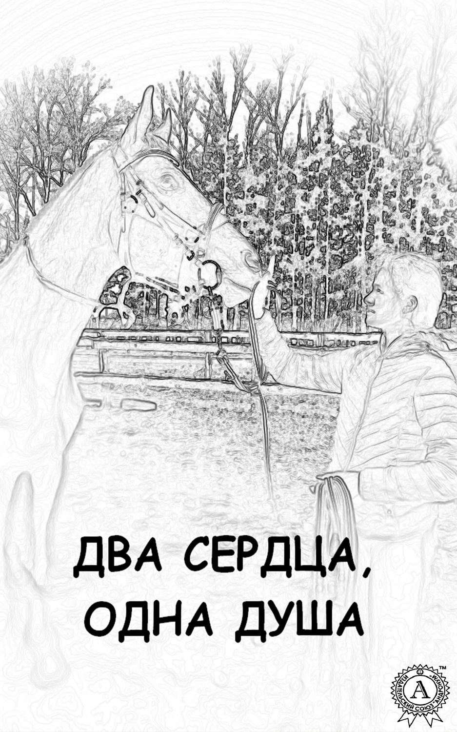Обложка книги «Два сердца, одна душа»