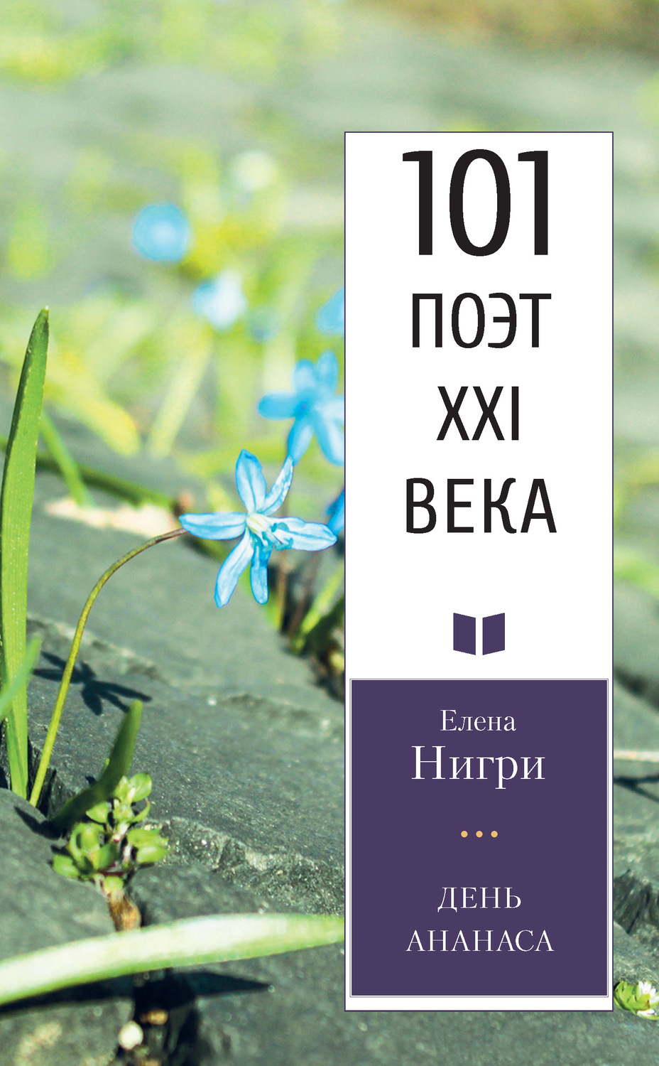 Обложка книги «День ананаса»