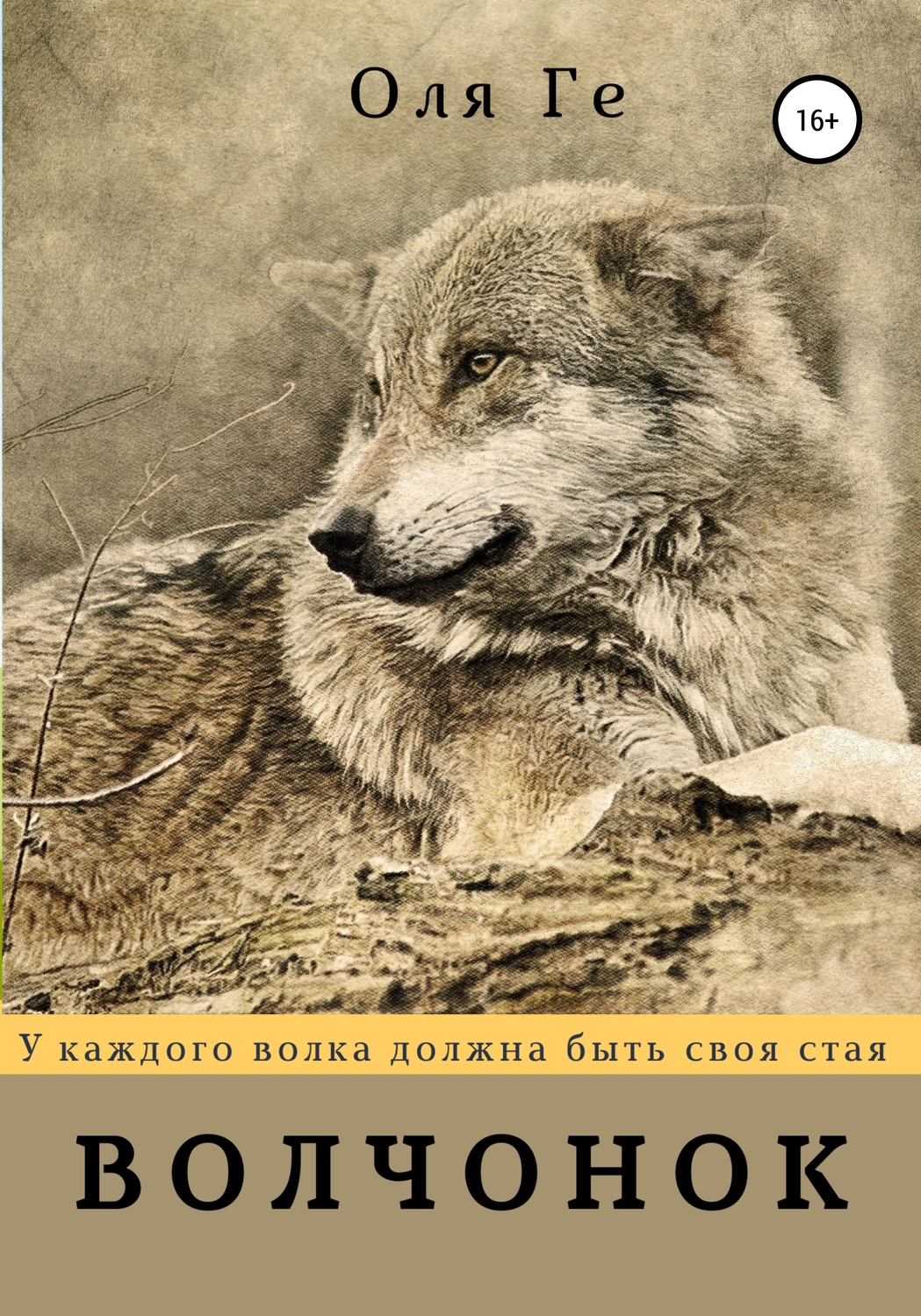 Обложка книги «Волчонок»
