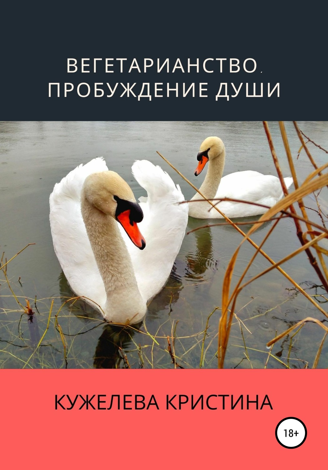 Обложка книги «Вегетарианство. Пробуждение души»