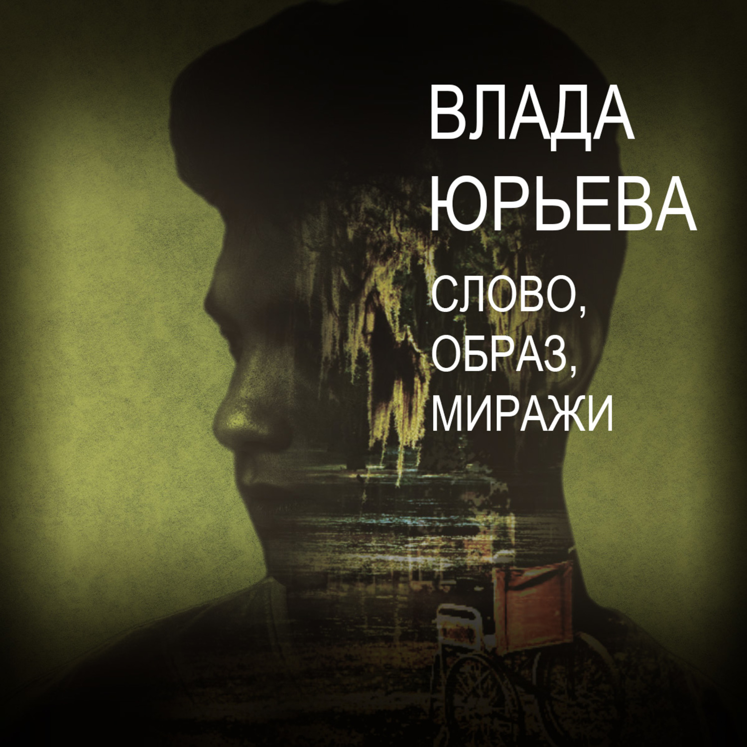 Обложка книги «Слово, образ, миражи»