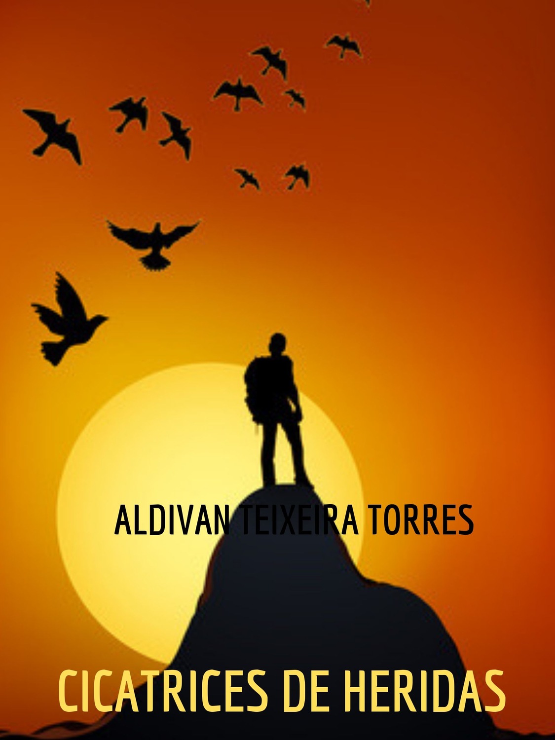 Обложка книги «Cicatrices De Heridas»