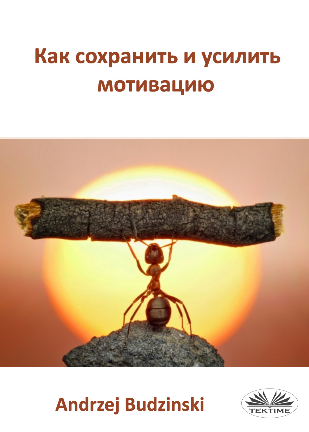 Обложка книги «Как Сохранить И Усилить Мотивацию»