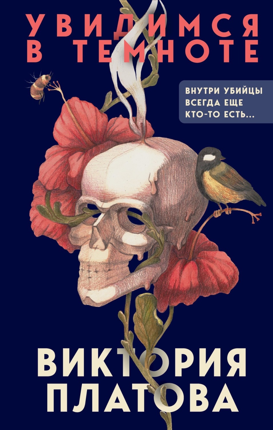 Обложка книги «Увидимся в темноте»