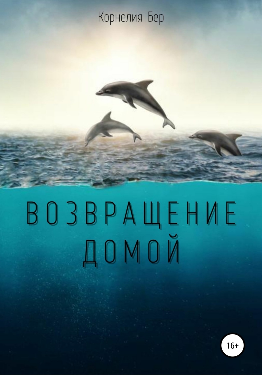 Обложка книги «Возвращение домой»