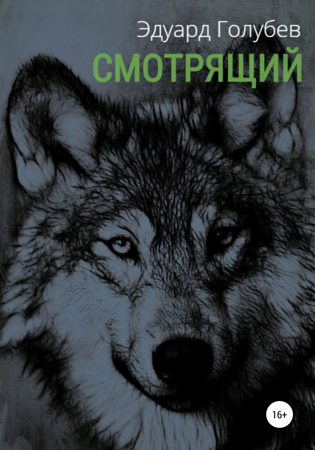 Обложка книги «Смотрящий»