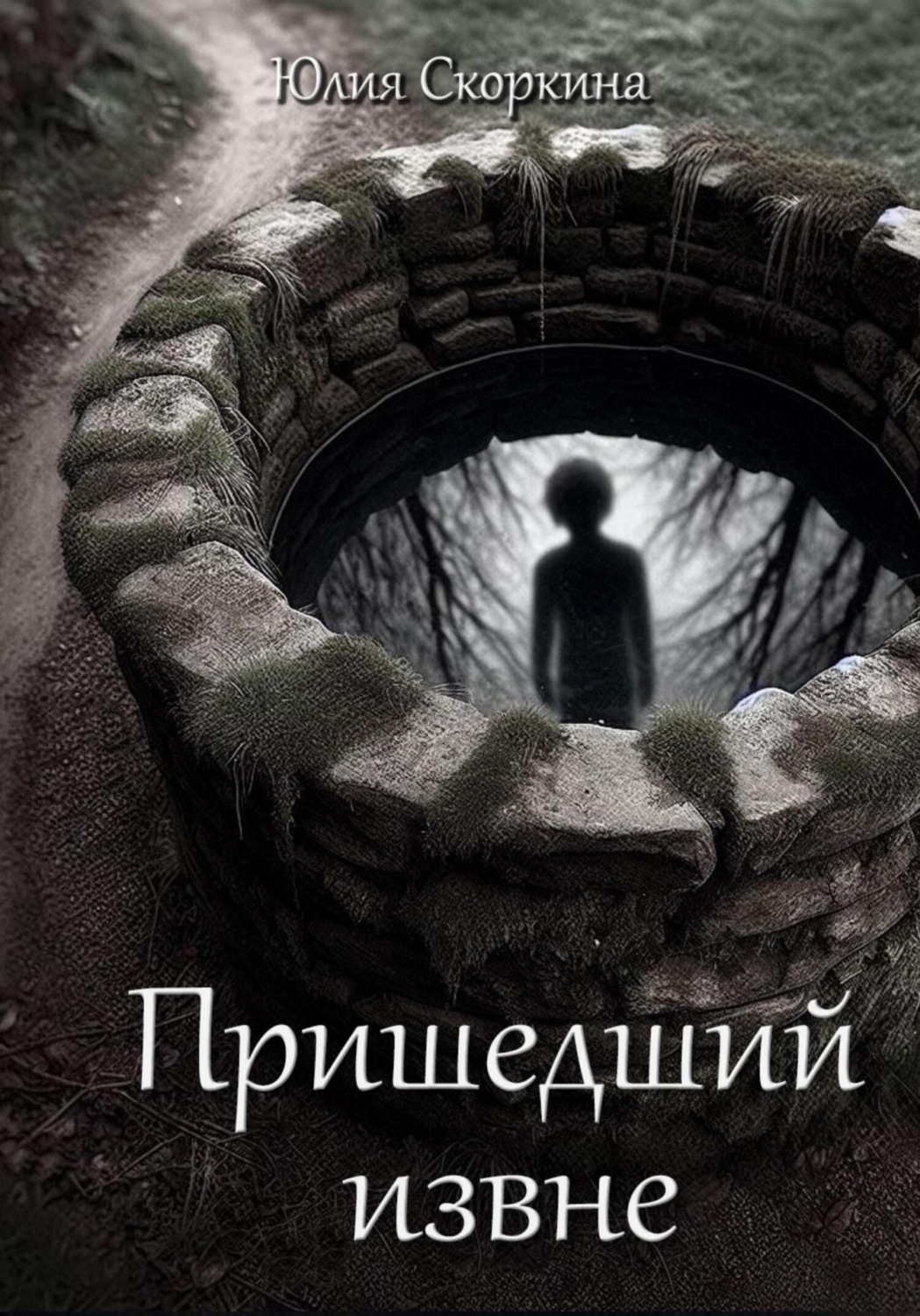 Обложка книги «Пришедший извне»
