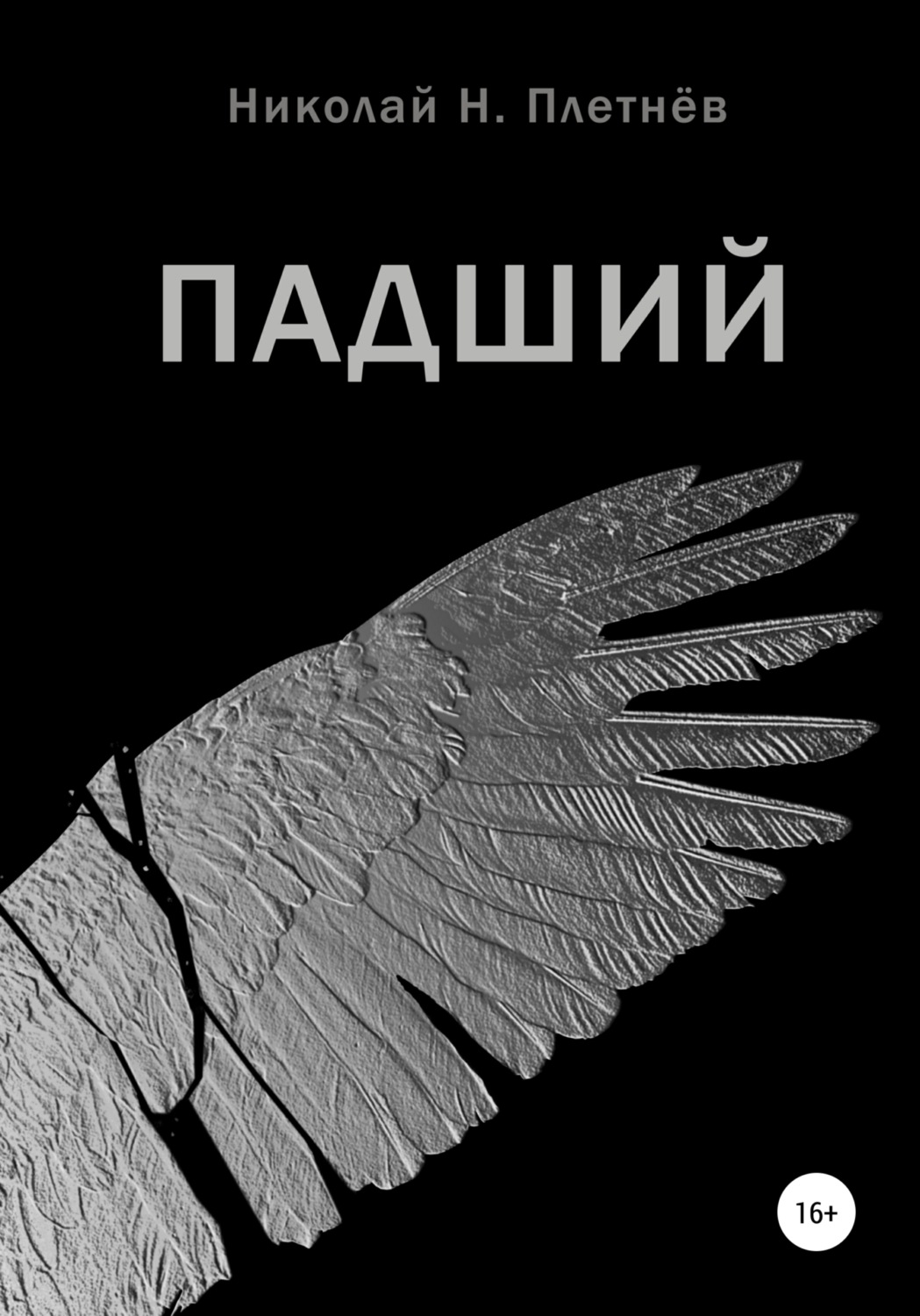 Обложка книги «Падший»