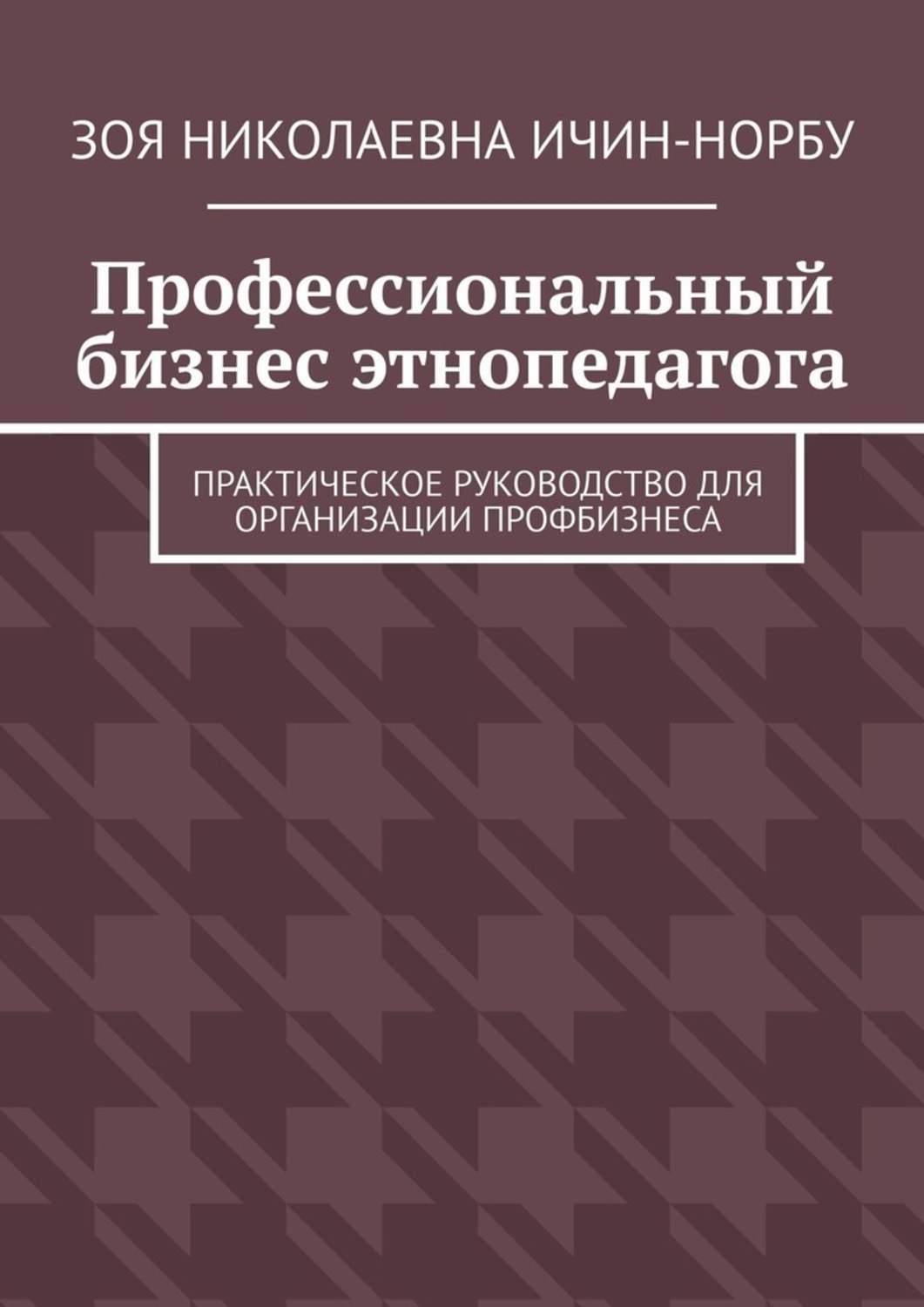 Обложка книги «Профессиональный бизнес этнопедагога. Практическое руководство для организации профбизнеса»