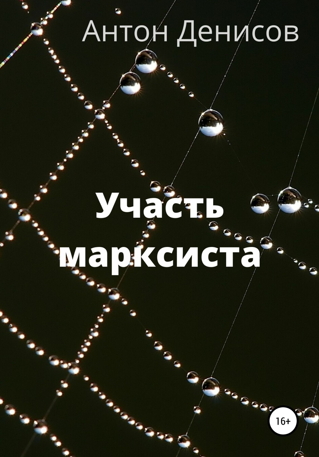 Обложка книги «Участь марксиста»