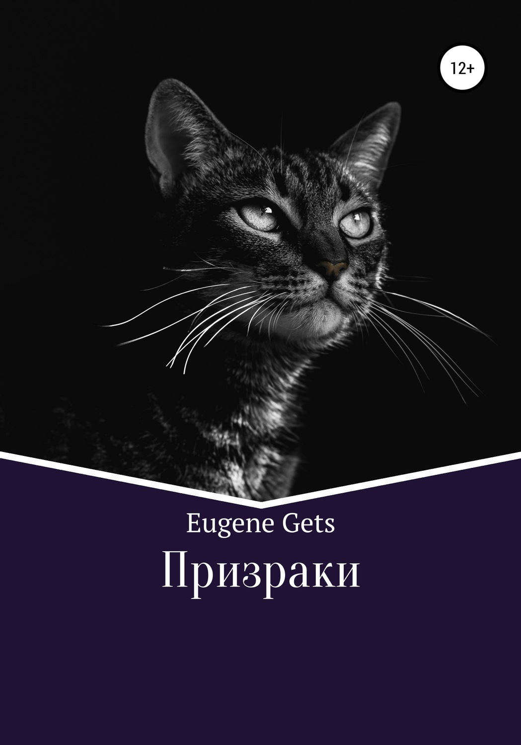 Обложка книги «Призраки»