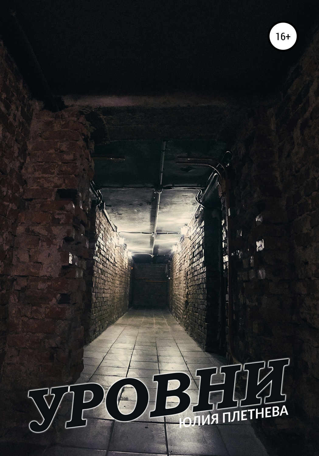 Обложка книги «Уровни»