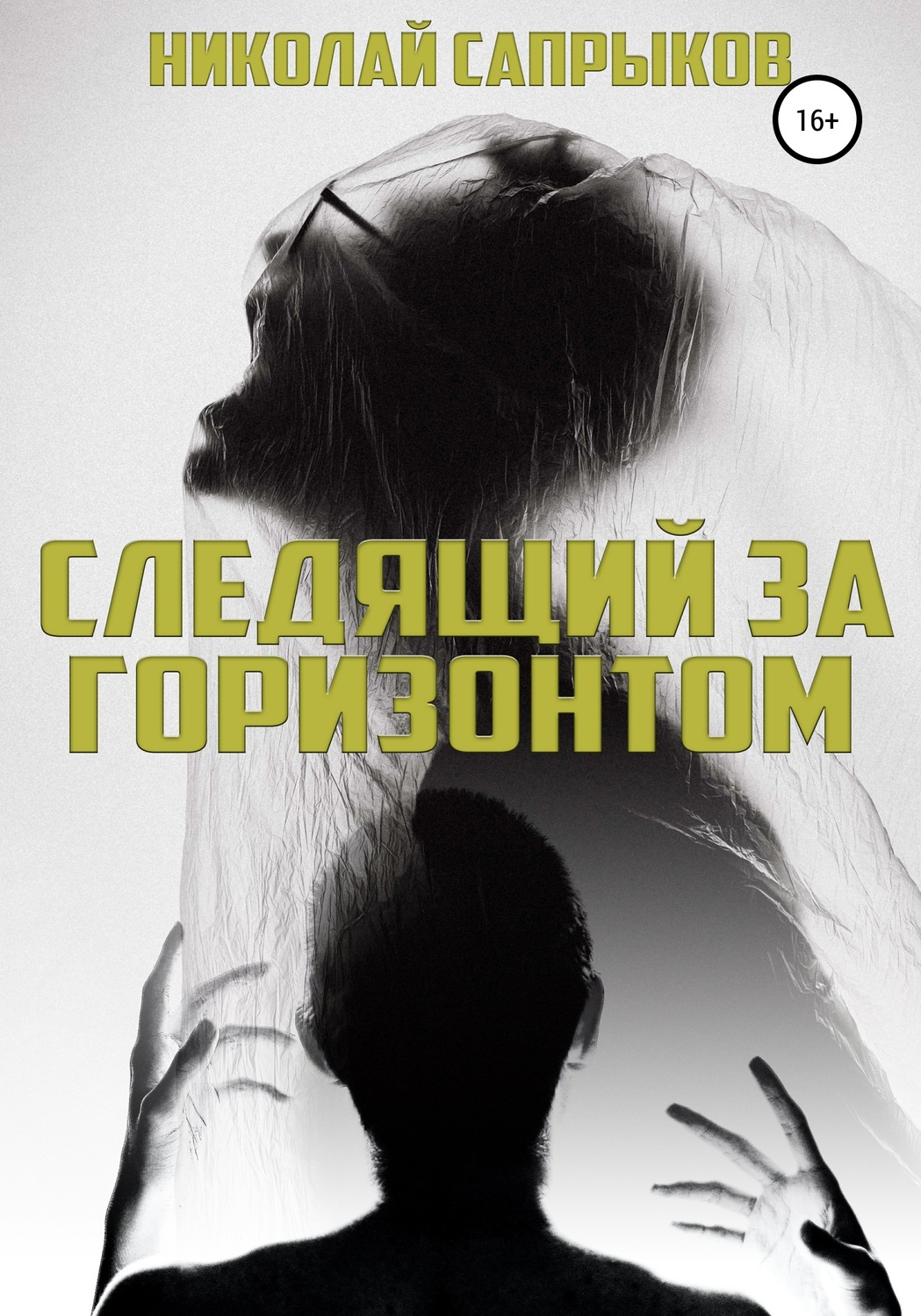 Обложка книги «Следящий за горизонтом»