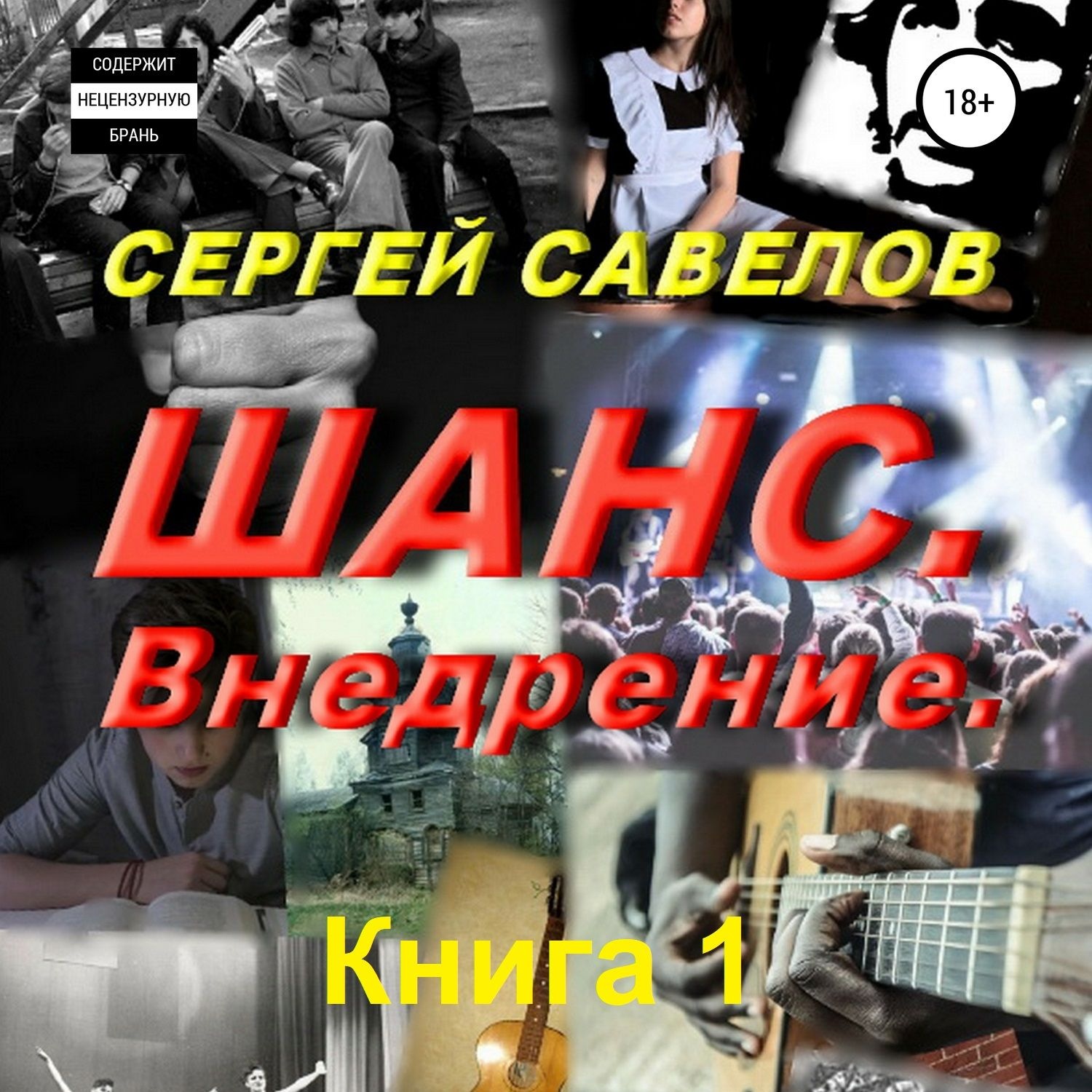 Обложка книги «Шанс. Внедрение. (Я в моей голове). Книга 1»