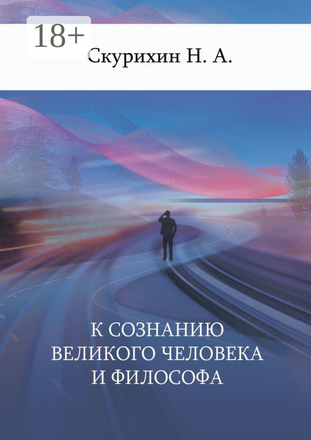 Обложка книги «К сознанию великого человека и философа»