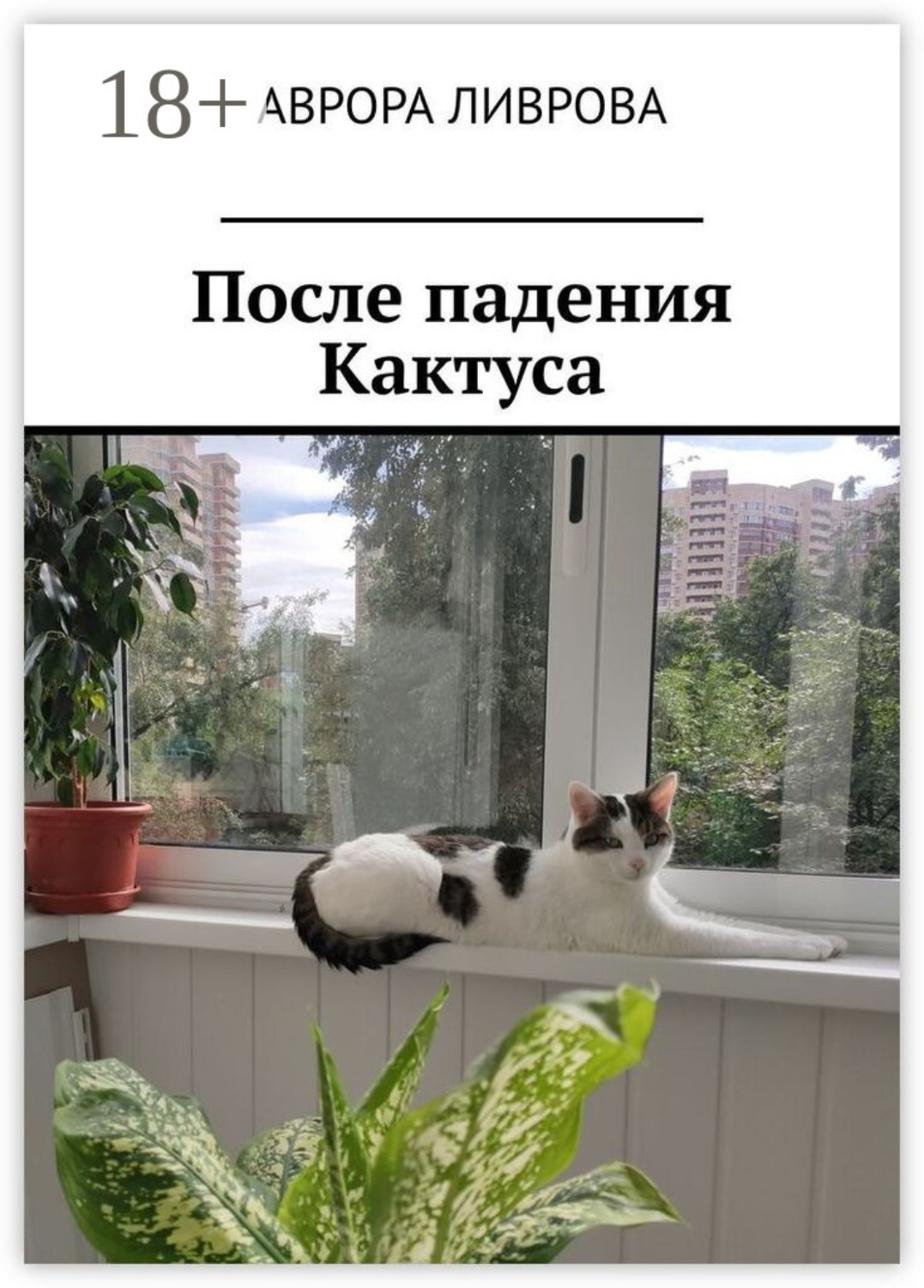 Обложка книги «После падения Кактуса»