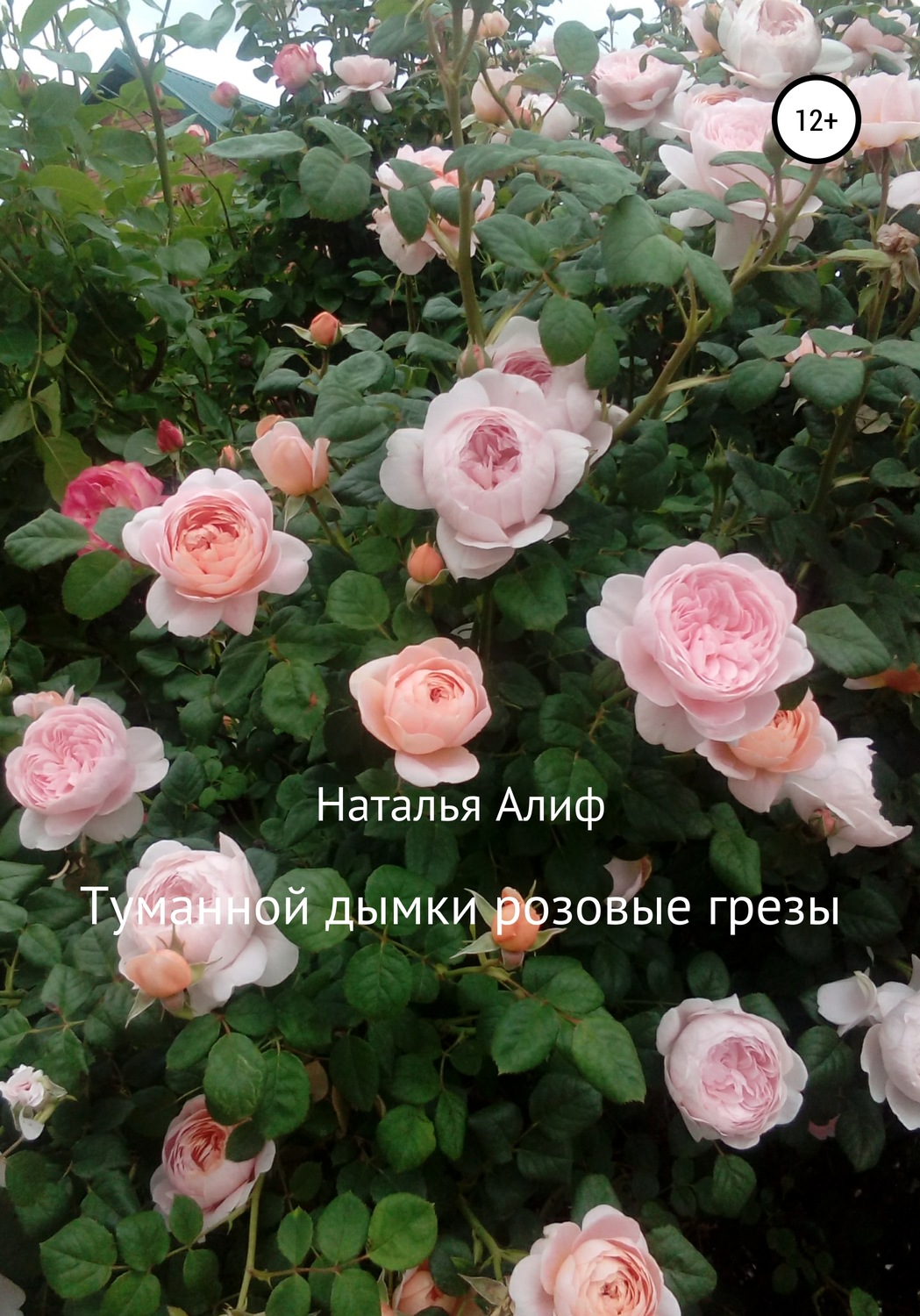 Обложка книги «Туманной дымки розовые грезы»