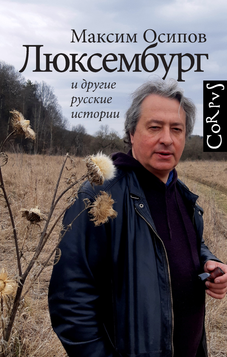 Обложка книги ««Люксембург» и другие русские истории»