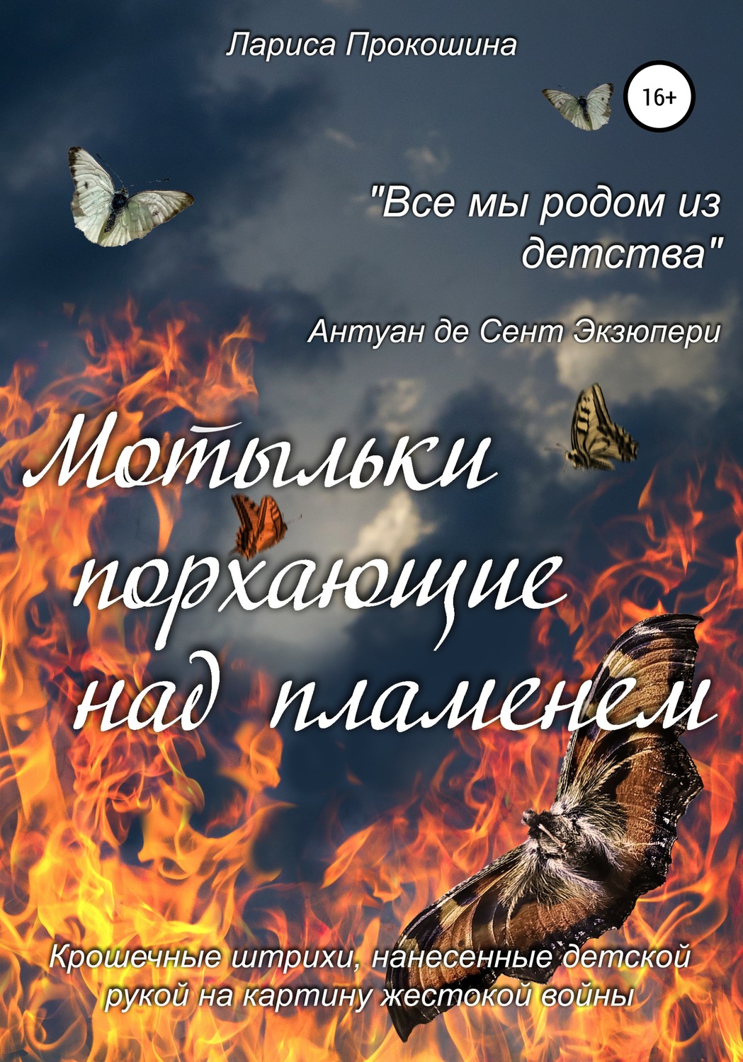 Обложка книги «Мотыльки, порхающие над пламенем»