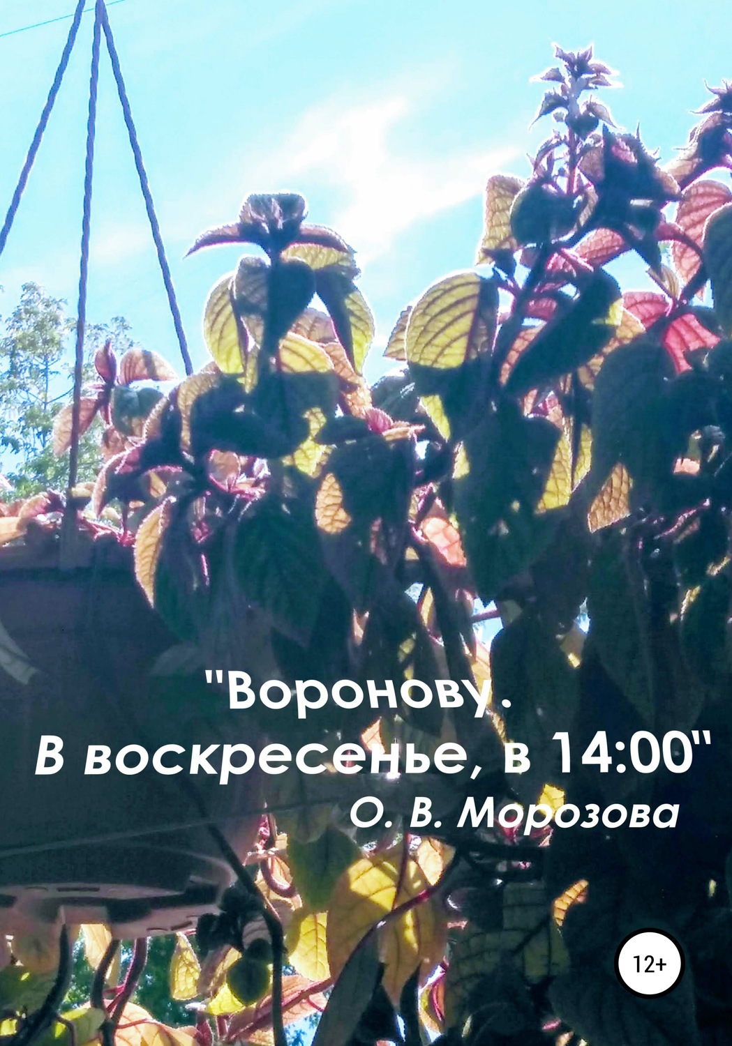 Обложка книги ««Воронову. В воскресенье, в 14:00»»