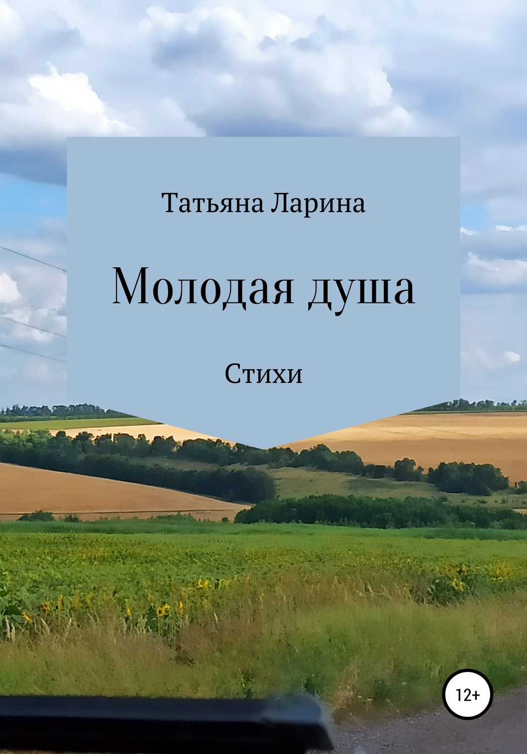 Обложка книги «Молодая душа»
