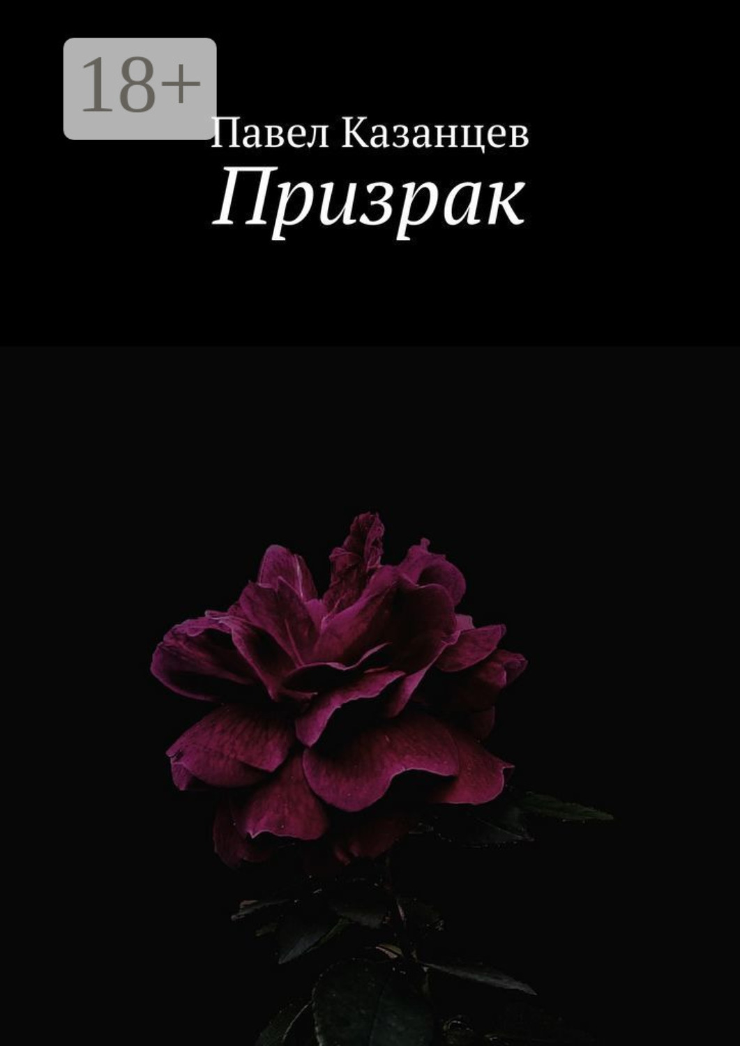 Обложка книги «Призрак»
