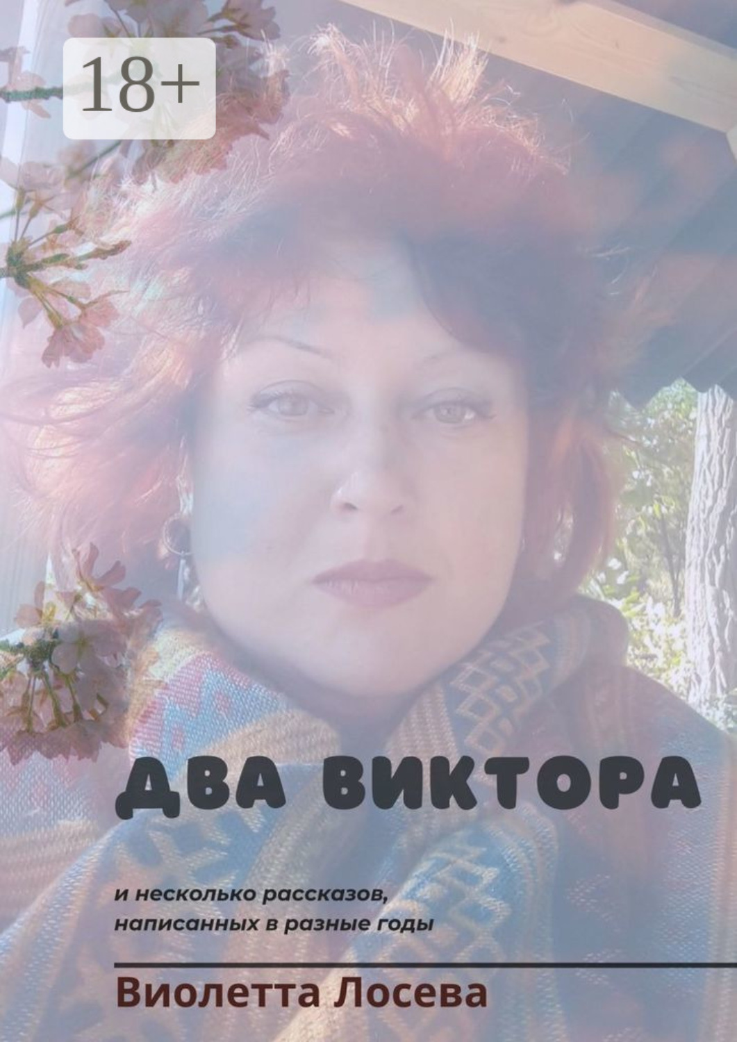 Обложка книги «Два Виктора и несколько рассказов, написанных в разные годы»
