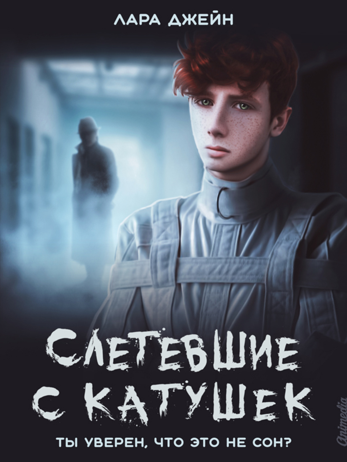 Обложка книги «Слетевшие с катушек»