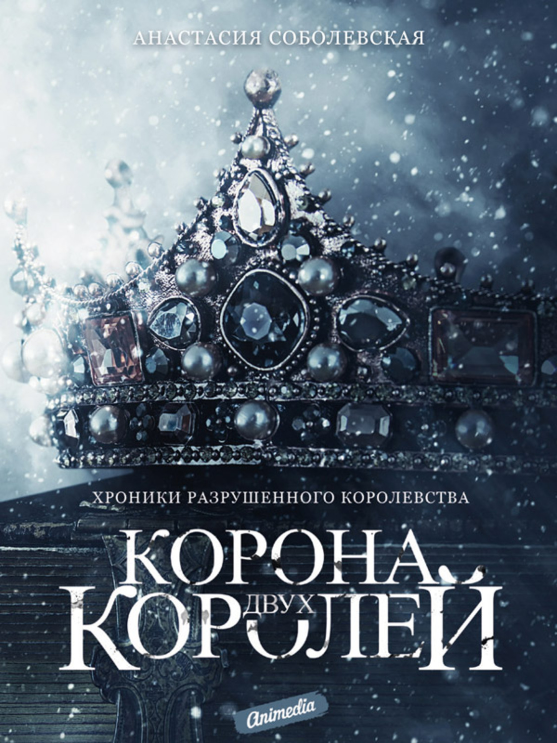 Обложка книги «Корона двух королей»
