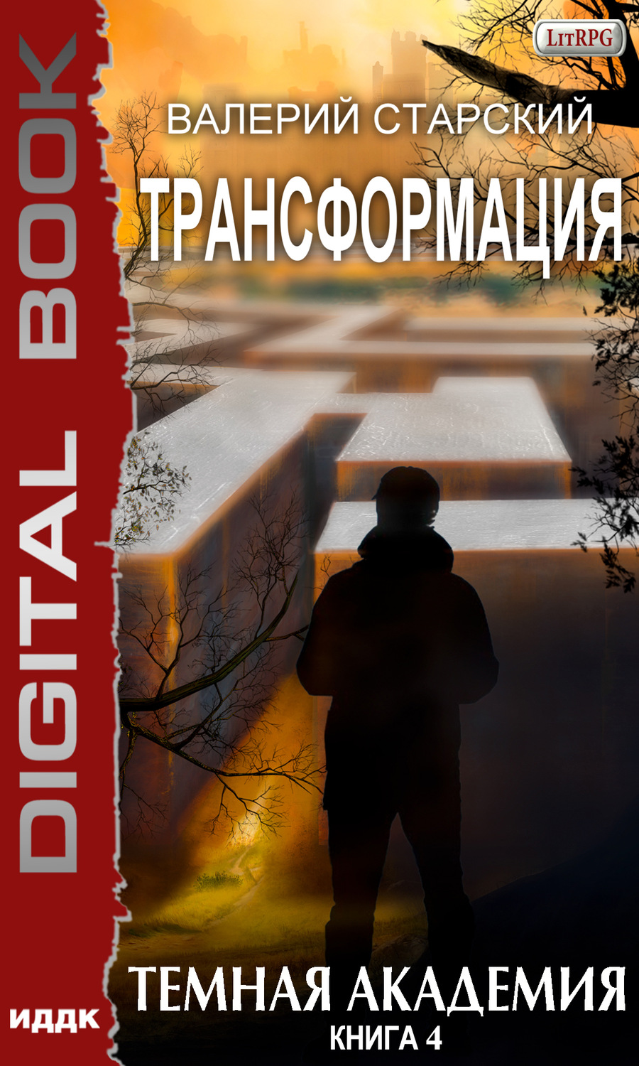 Обложка книги «Темная академия»