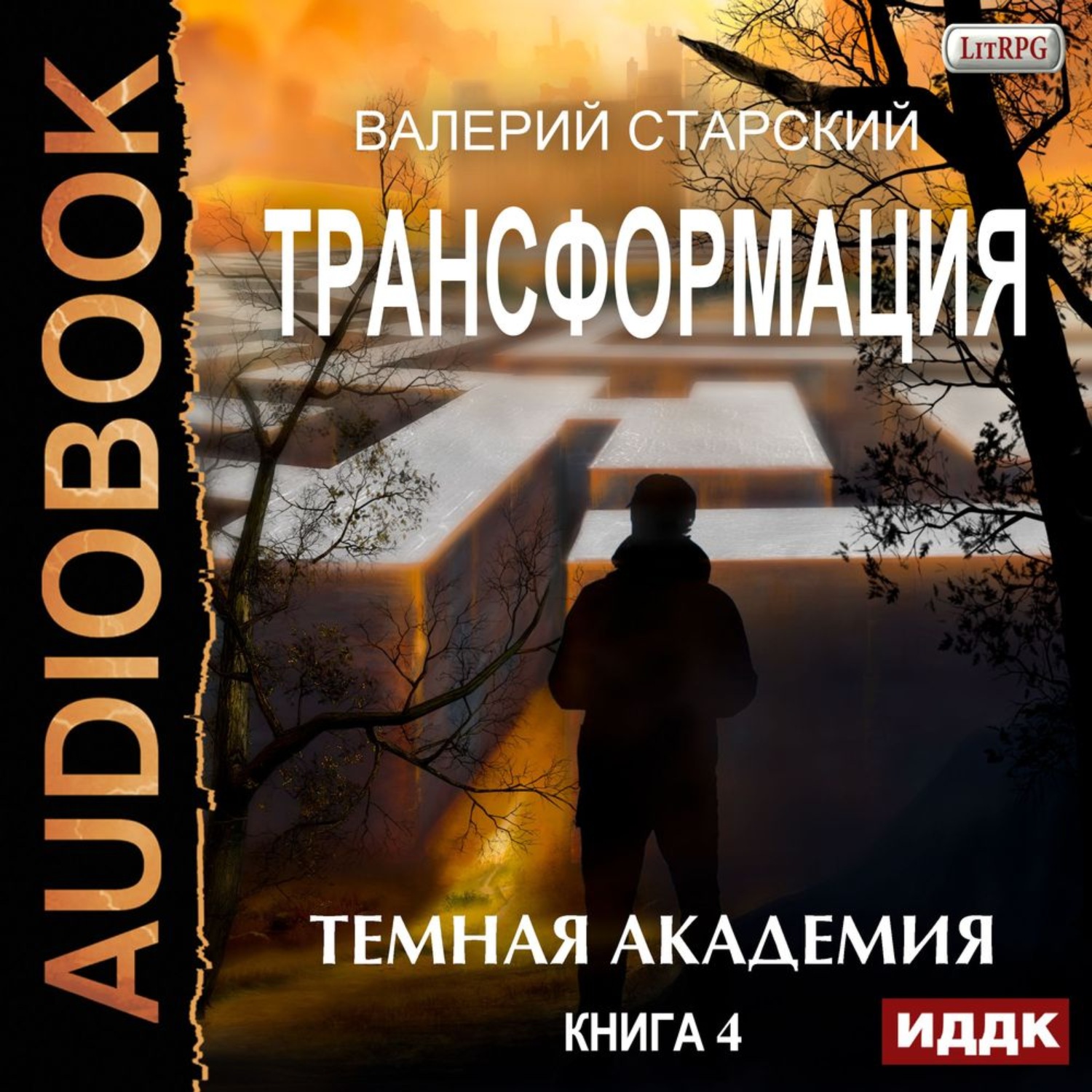Обложка книги «Темная академия»