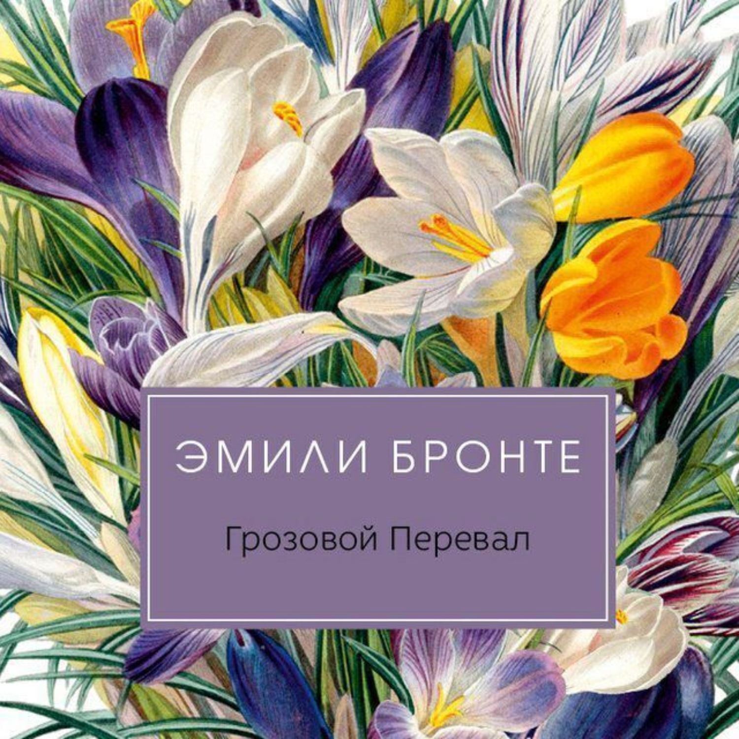 Обложка книги «Грозовой перевал»