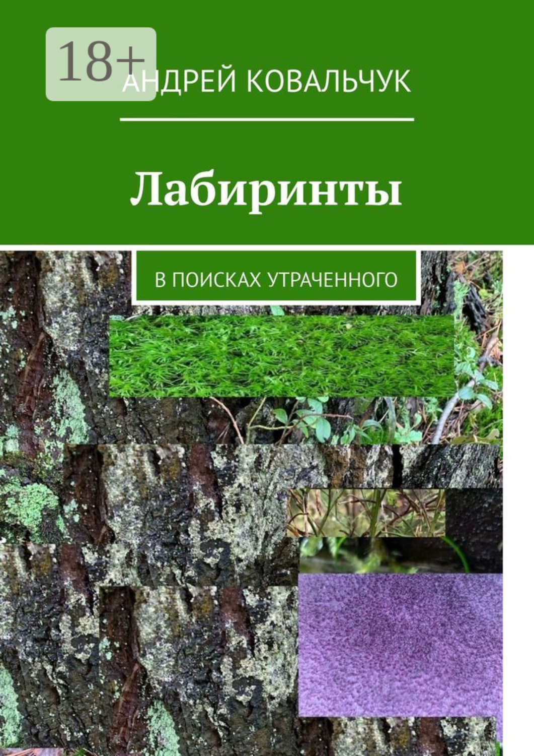 Обложка книги «Лабиринты. В поисках утраченного»