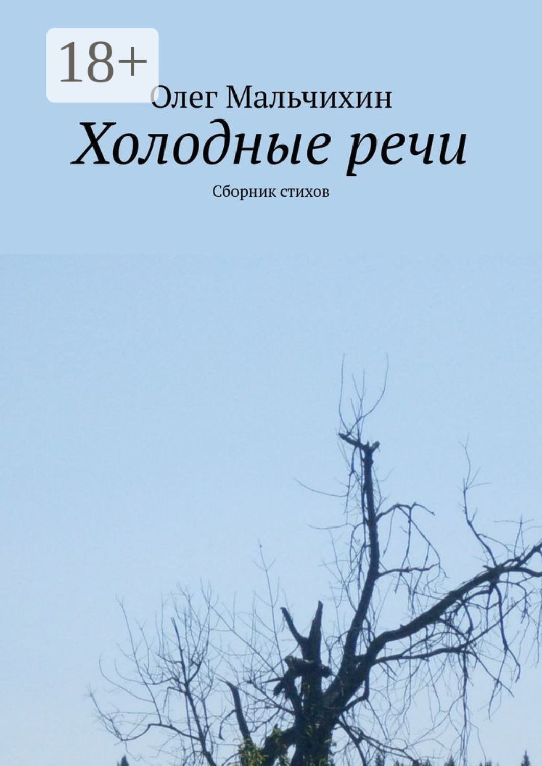 Обложка книги «Холодные речи. Сборник стихов»