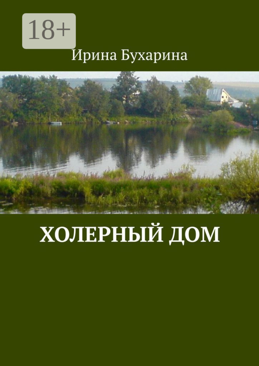 Обложка книги «Холерный дом»